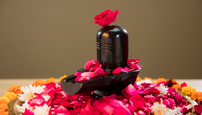 Rudrabhishek Puja